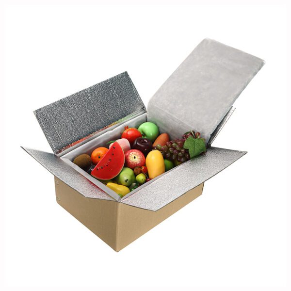 2023 Newest chiller boxes For Freeze Food Box For Chiller Food Packaging - Image 4