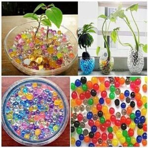 plant watering beads